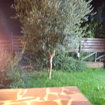 Margherita Дом отдыха